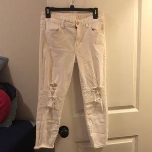 Size 10 American eagle capris